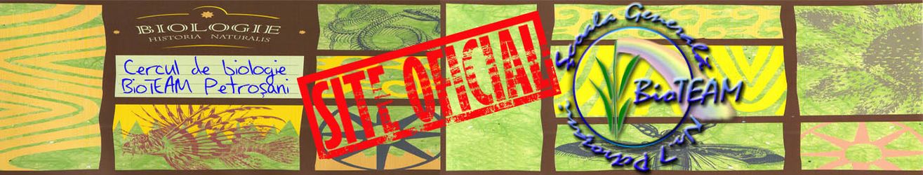 BioTEAM7 – Site oficial